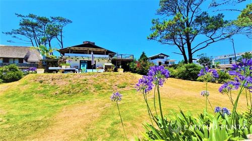 Imagen 8 de 30 de Casa En Alquiler - Punta Del Este Pinares