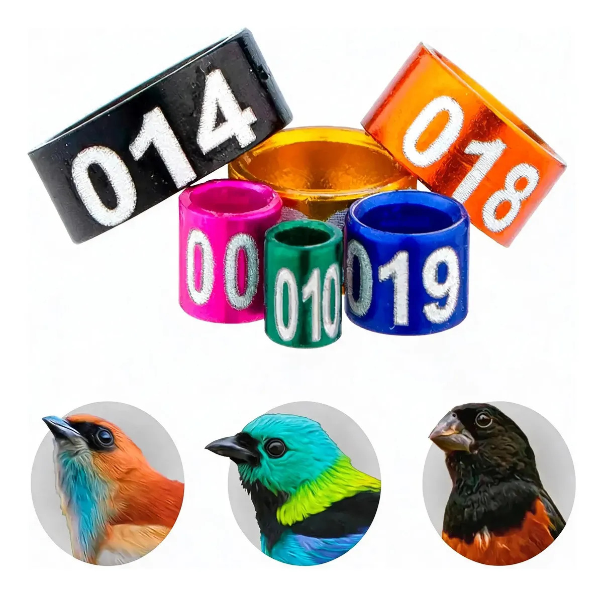 Anilhas Anel Colorido Numerado Criador Curió Pixoxó 2.6mm Cor Verde