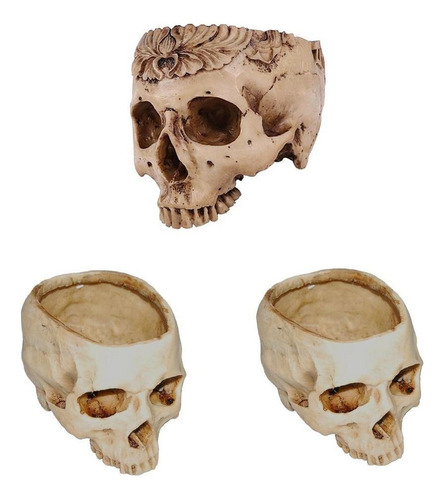 3 Piezas De Resina Moderna Cráneo Humano Cabeza Diseño