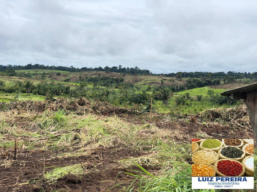 Imagem 6 de 15 de Fazenda À Venda Em Pacaja - Pa - De 1.900 Alqueires (dupla Aptidão) - 1649