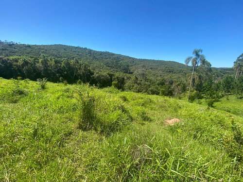 Imagem 5 de 6 de L22- Terrenos A Venda