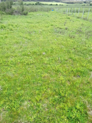 Campo Agrícola Ganadero En Canelones