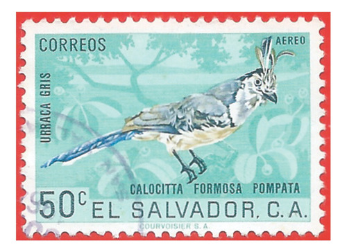 1963. Estampilla Urraca Gris, El Salvador. Slg1