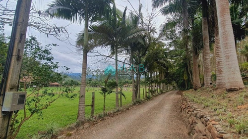 Imagem 1 de 30 de Lindo Sítio À Venda No Bairro São Luiz Em Apiúna Sc!! - Ru00003 - 69368760