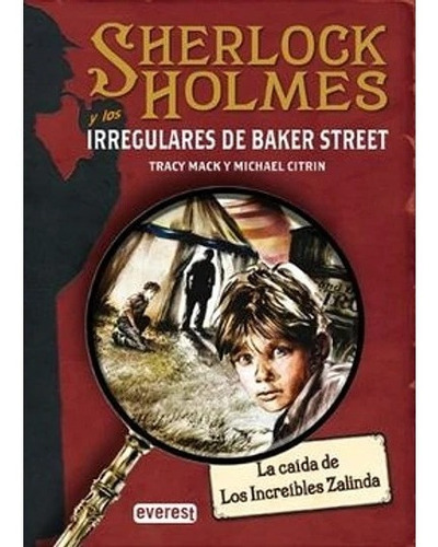 Sherlock Holmes Y Los Irregulares De Baker Street