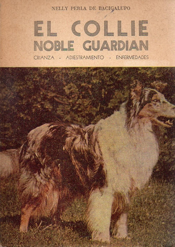 El Collie Noble Guardian Nelly Perla De Bacigualupo 