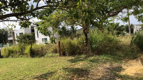 Venta Terreno 250 M² Col. Campestre Alborada Tuxpan Veracruz