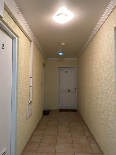 Se Vende Departamento En Concepcion