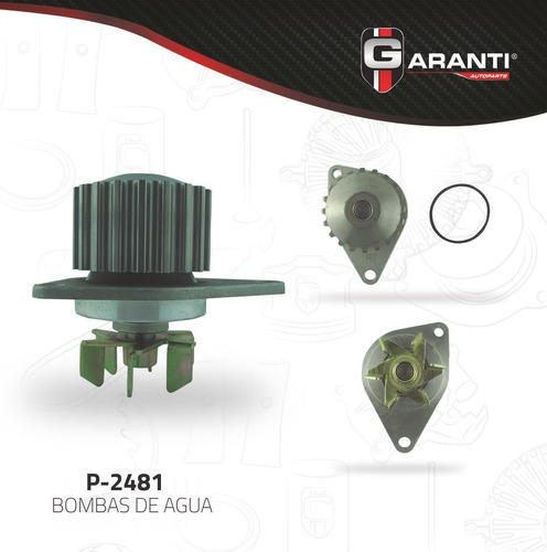 Bomba Agua Para Citroen Xsara 1997 - 2004 (garanti)