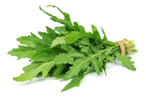 Rucula Selvática Arucula 100 Sementes Saladas Ou Baby Leaf