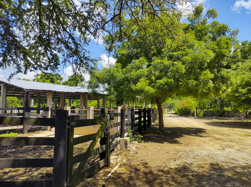 Venta De Rancho En Zona Ganadera De Yucatán, Con Cenotes, 453 Has