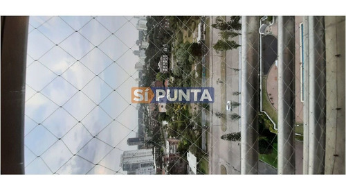 Imagen 11 de 30 de Apartamento En Alquiler Anual