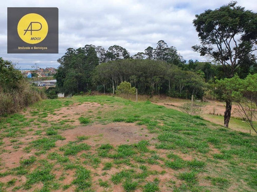Imagem 6 de 30 de Terreno À Venda, 3557 M² Por R$ 480.000,00 - Jardim Ponte Grande - Mogi Das Cruzes/sp - Te0045