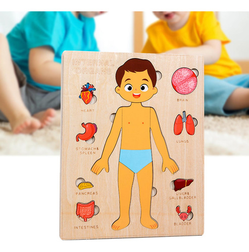 Puzzles Montessori: Cuerpo Humano, Órgano Extraíble