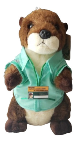 Peluche Nutria Aurora Nutrióloga Imss