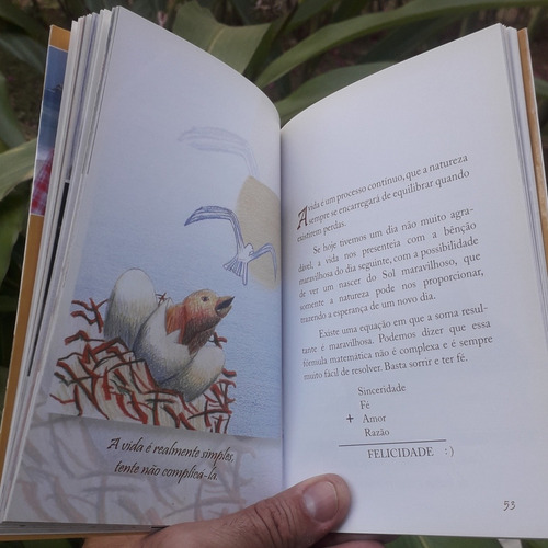 Celebrar A Vida - Livro Novo - Compra Direta Com O Autor