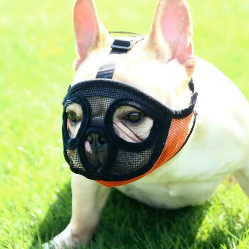 Bozal Bulldog Francés. Nylon. Canasta Talla S Para Perros