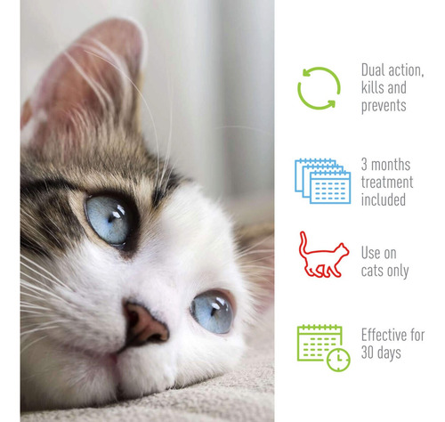 Adams Plus Flea & Tick Spot On +2kg Pipeta Para Gatos