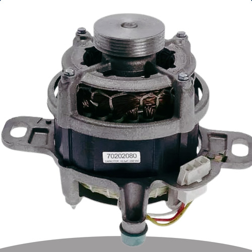 Motor Da Maquina Electrolux Lte12 Original 220v  Recon