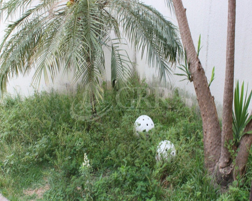 Imagem 3 de 30 de Sobrado 4 Dormitórios, Com Edícula No Jardim Flórida- Jacareí- Sp - Ca01293 - 68987828