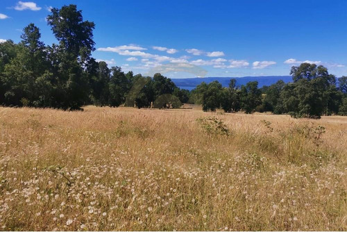 Parcela Hermosa Vista A Minutos De Villarrica