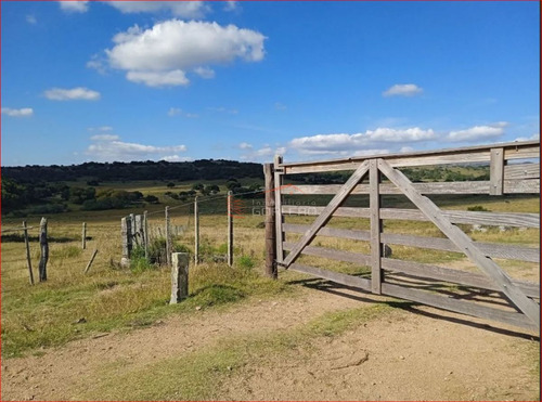 Imagen 9 de 14 de Maldonado - Venta De Campo Con Costa !! Zona De Aiguá