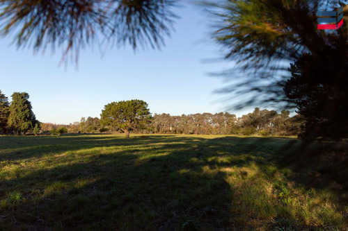 Hermoso Campo En Venta, 4has | B° Las Casuarinas, Luján