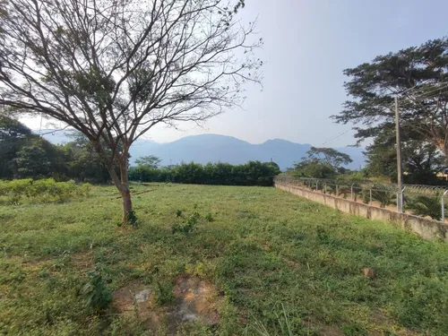 Lote En Venta En Corozal. Cod V29028