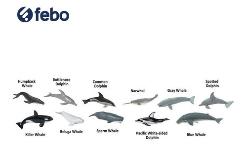 Ballenas Y Delfines Toobs Safari Pedia Febo
