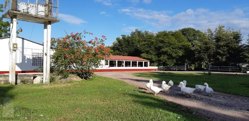 Se Vende Finca En Monte Plata 2,976 Tareas Mixta