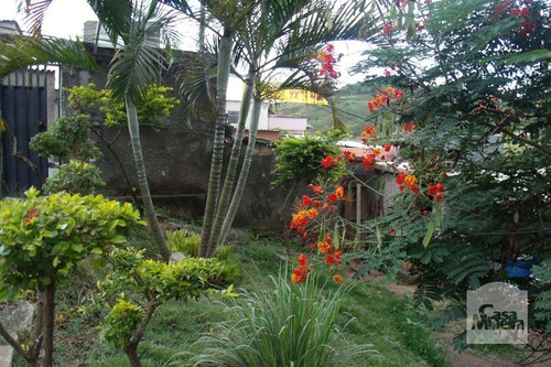 Imagem 14 de 15 de Casa À Venda No Cachoeirinha - Código 408231 - 408231