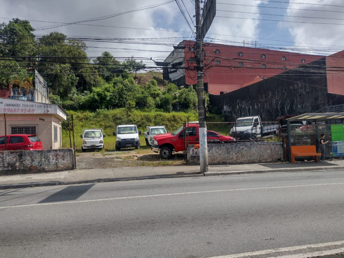 Terreno Com Localização Privilegiada - Comercial - Avenida Principal