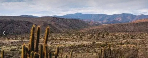 Agrícola En Venta En Los Vilos
