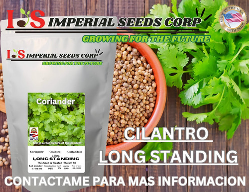 Semillas De Cilantro
