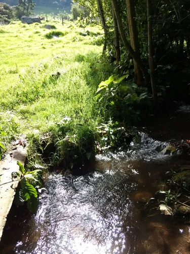 Finca Agricola Y Descanso