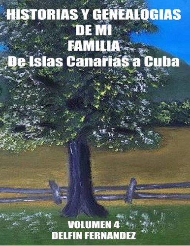 Libro: Historias Y Genealogias De Mi Familia-volumen 4 (span