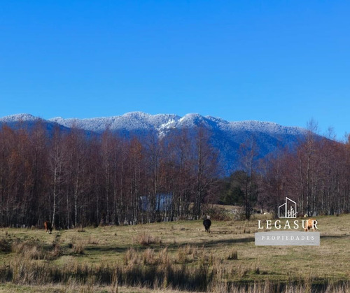 Parcela En Condominio Entre Coique Y Futrono 5.000 M