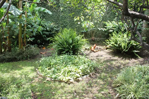 Venta Y Renta De Casa Sola Frente Al Lienzo Charro, Cuernavaca Morelos