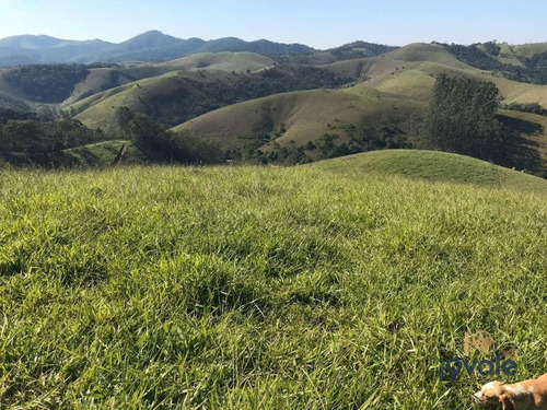 Sitio À Venda Com 10 Alqueires - Ch0055