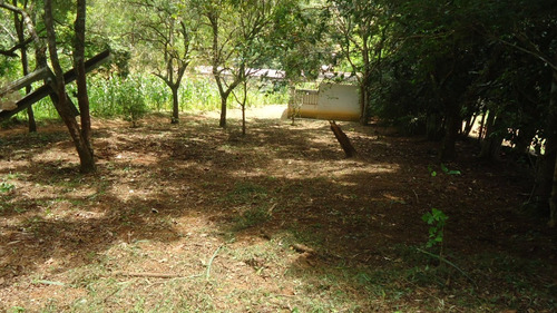 Chácara Bairro Gabriel C/6000m2