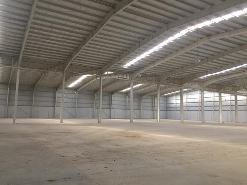 Imagen 11 de 20 de Fracción Industrial 4 Ha. Galpón 14.000 M² Cub. - Carlos Spegazzini