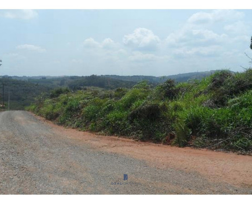 Terreno Venda Horizonte Verde Piedade Sp - 04982-1