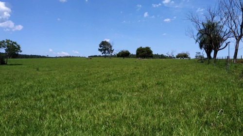 Imagen 3 de 21 de Lote En Venta 1219m2 En Puerto Rico - Loteo Clemens Blick