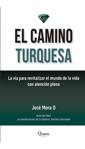 El Camino Turquesa, De Mora, José. Editorial Bubok Publishing, Tapa Blanda En Español