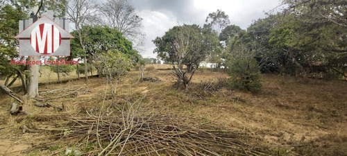 Chácara Arborizada Com 03 Dormitórios, Pomar E Ótima Localização, À Venda, 2000 M² Por R$ 270.000 - Zona Rural - Pinhalzinho/sp - Ch0739
