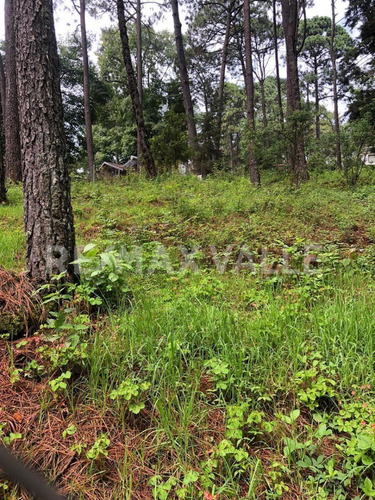 Imagen 1 de 3 de Terreno En Venta