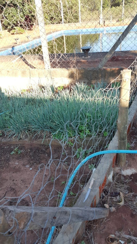 Imagem 20 de 30 de Chácara 12mil M2, Rico Em Água Com Lago, Casa Sede Boa, Pomar Formado, Piscina, Poço Artesiano, Canil, Campo De Futebol, Ótima Localização - Ch00251 - 70808928