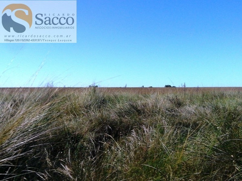 Chacra En Venta En Distrito De #trenquelauquen