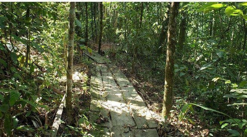 Imagem 7 de 14 de Terreno À Venda, 1000 M² Por R$ 260.000,00 - Condomínio Fazenda Jequitibá - Sorocaba/sp - Te1443