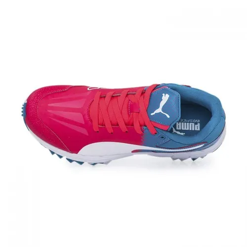 Botines Puma Hockey Evospeed 4.5 Fh 103782/05 Lefran MercadoLibre